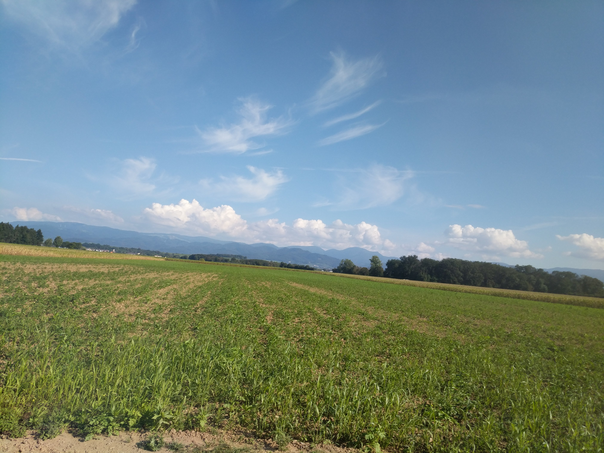 Breisgau-Cote-d-Azur-Alpenrundfahr