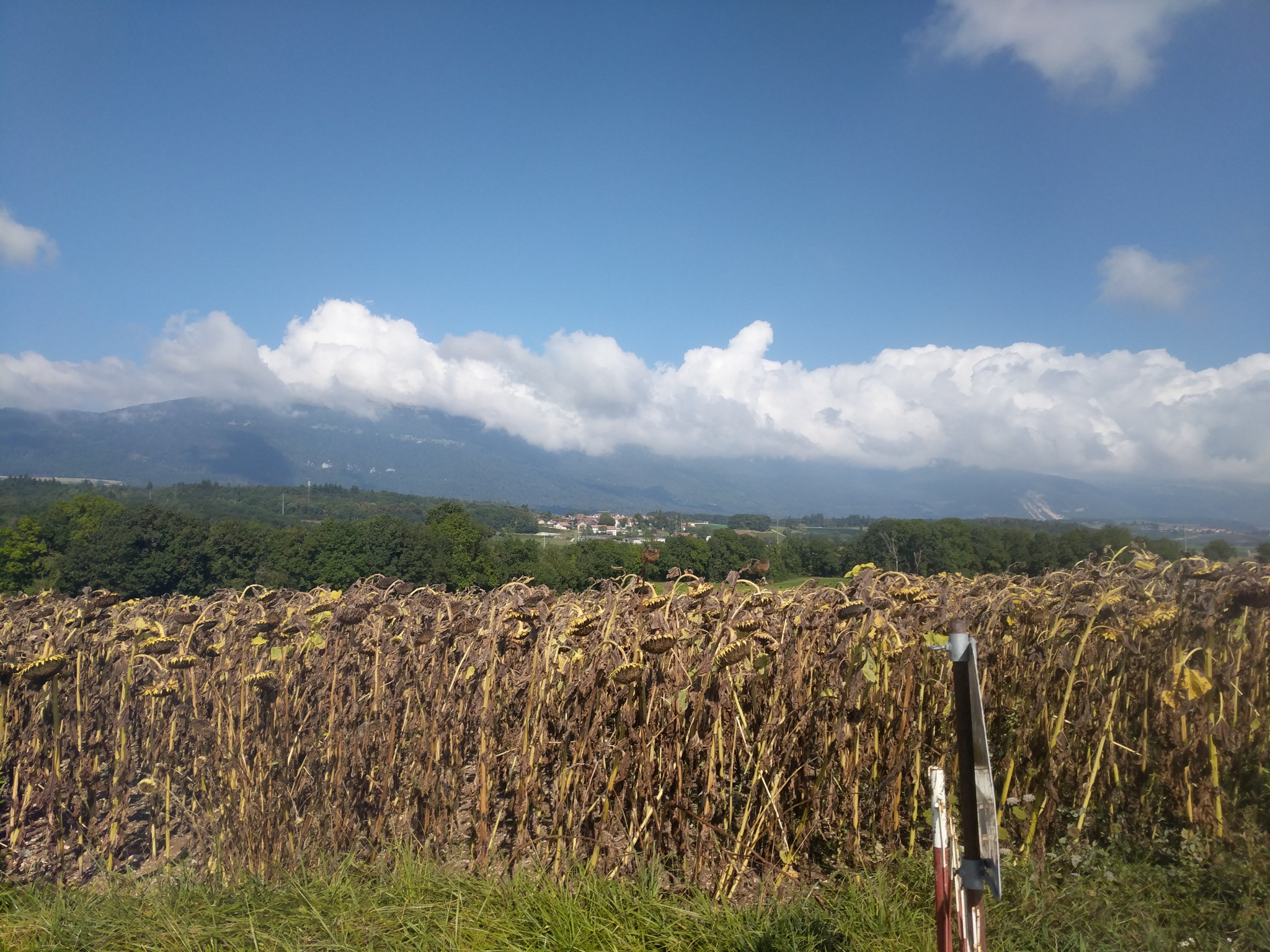 Breisgau-Cote-d-Azur-Alpenrundfahr