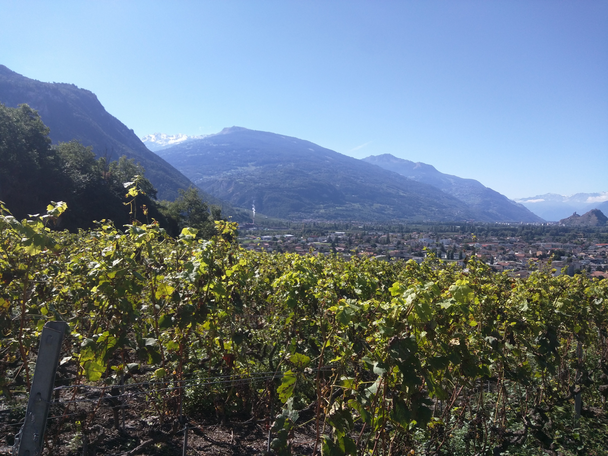 Breisgau-Cote-d-Azur-Alpenrundfahr