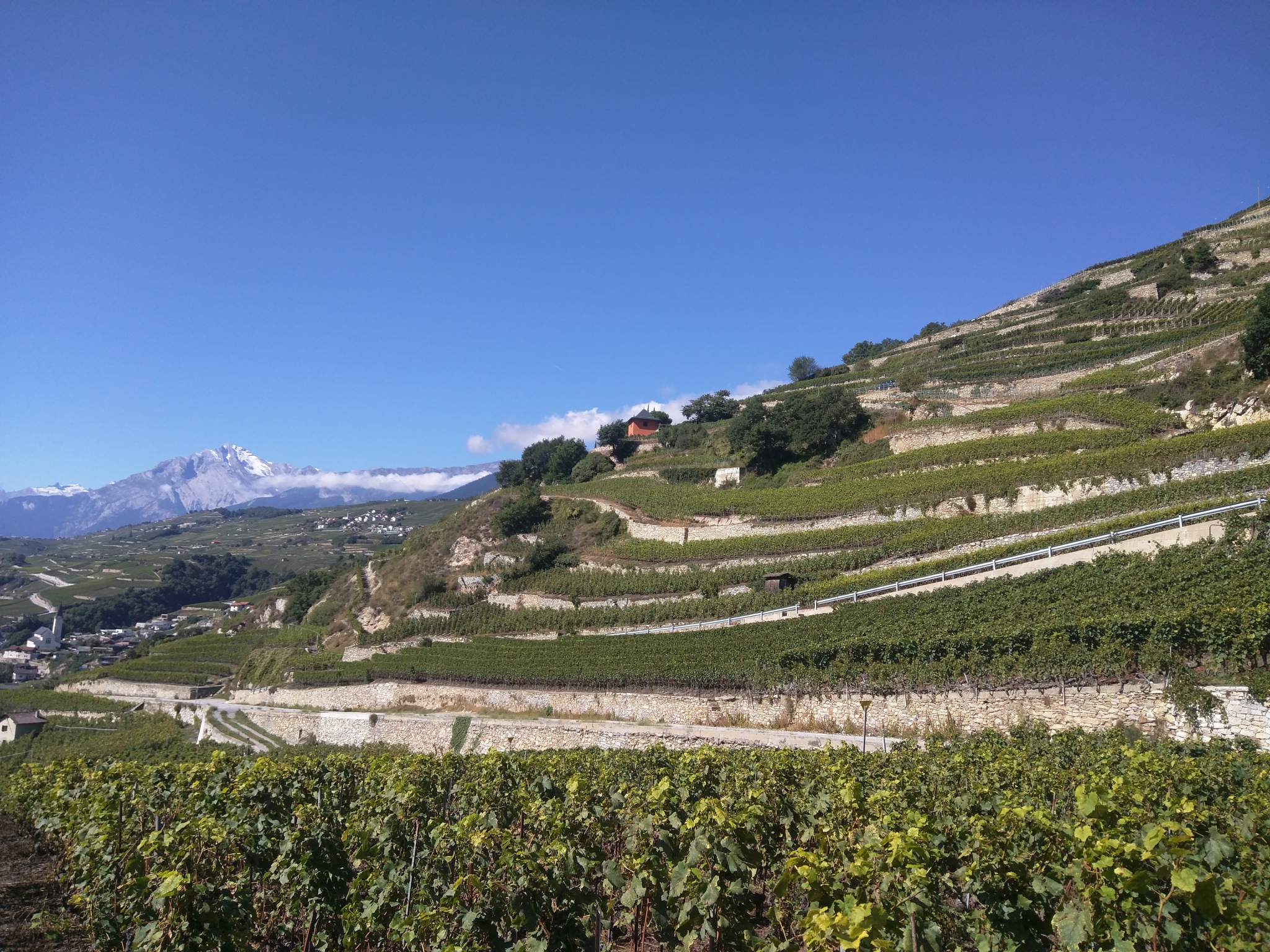 Breisgau-Cote-d-Azur-Alpenrundfahr