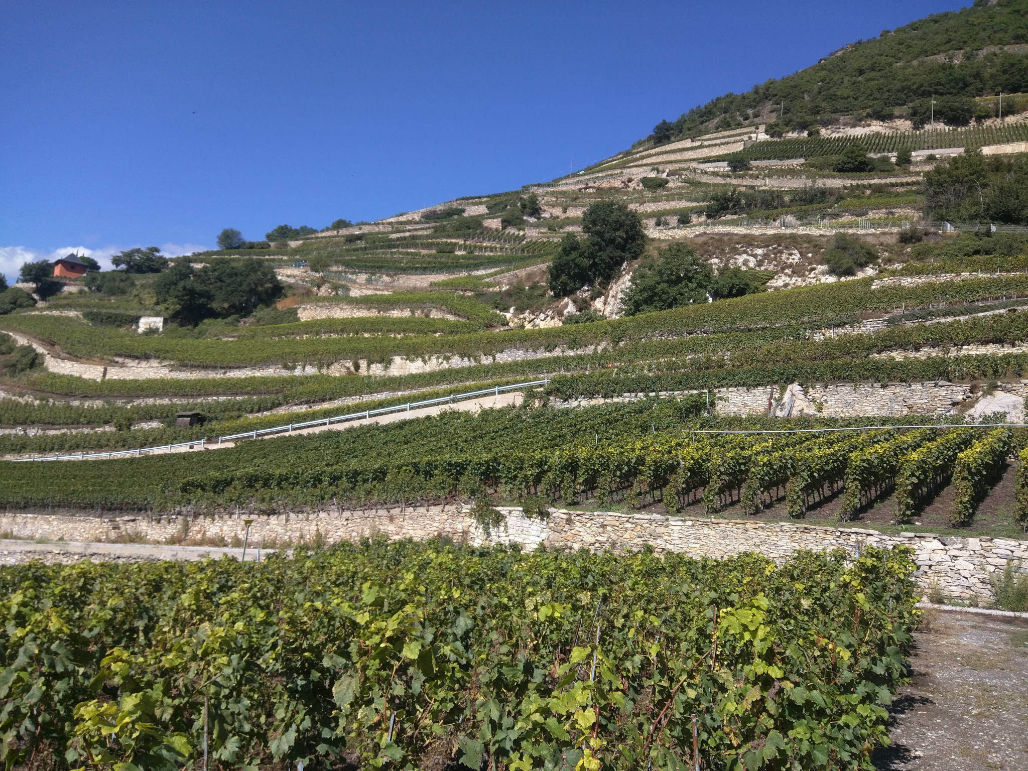 Breisgau-Cote-d-Azur-Alpenrundfahr