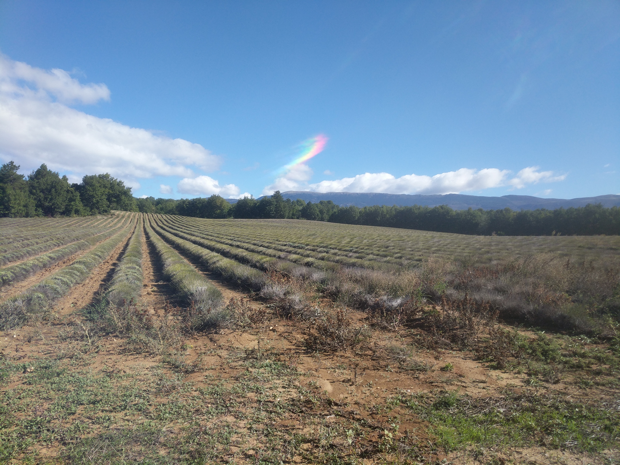 Breisgau Cote d Azur - Bildergalerie - Reisen in den Süden und zurück