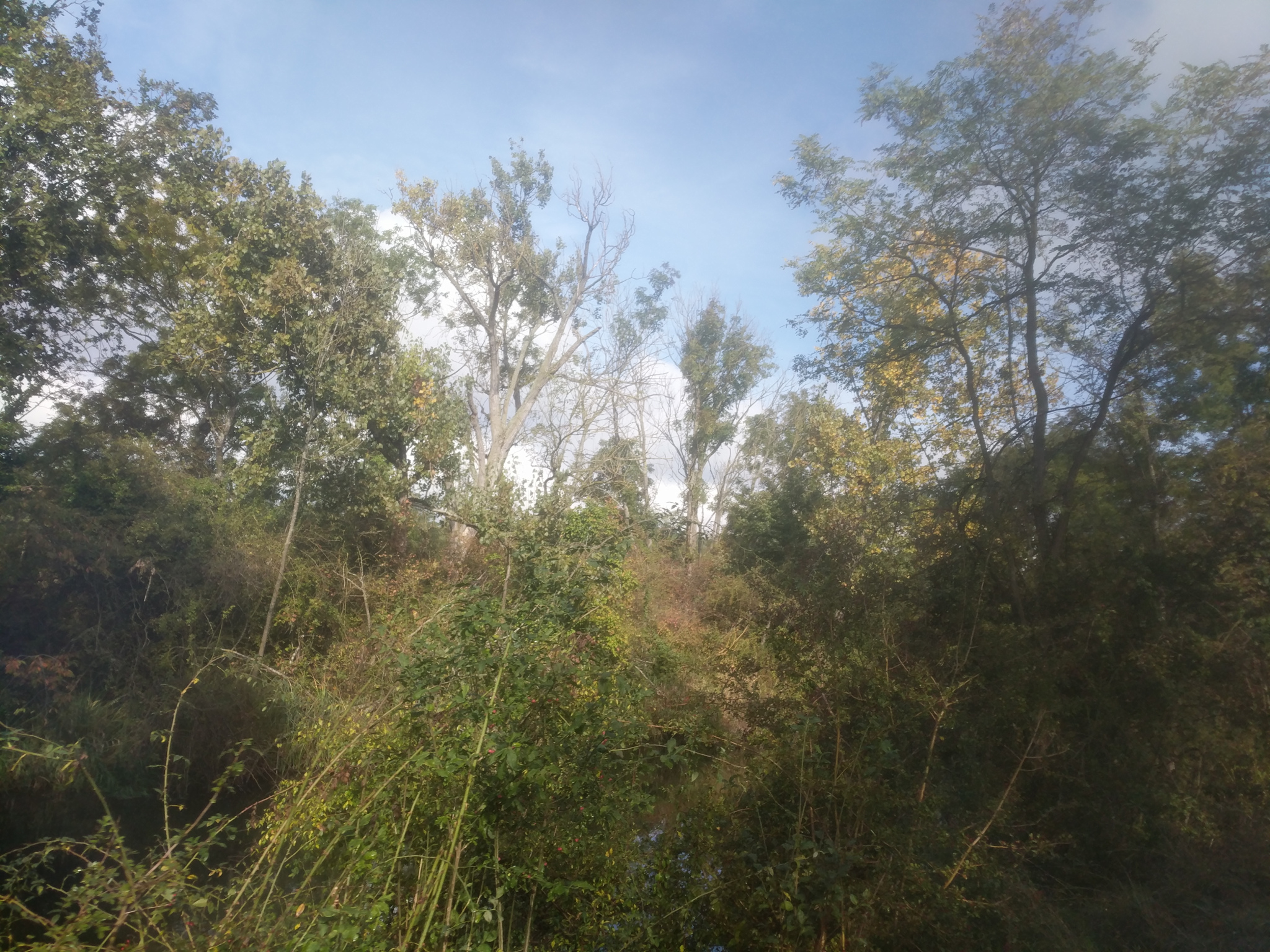 Alpenrundfahrt-2021/Breisgau-Cote-d-Azu