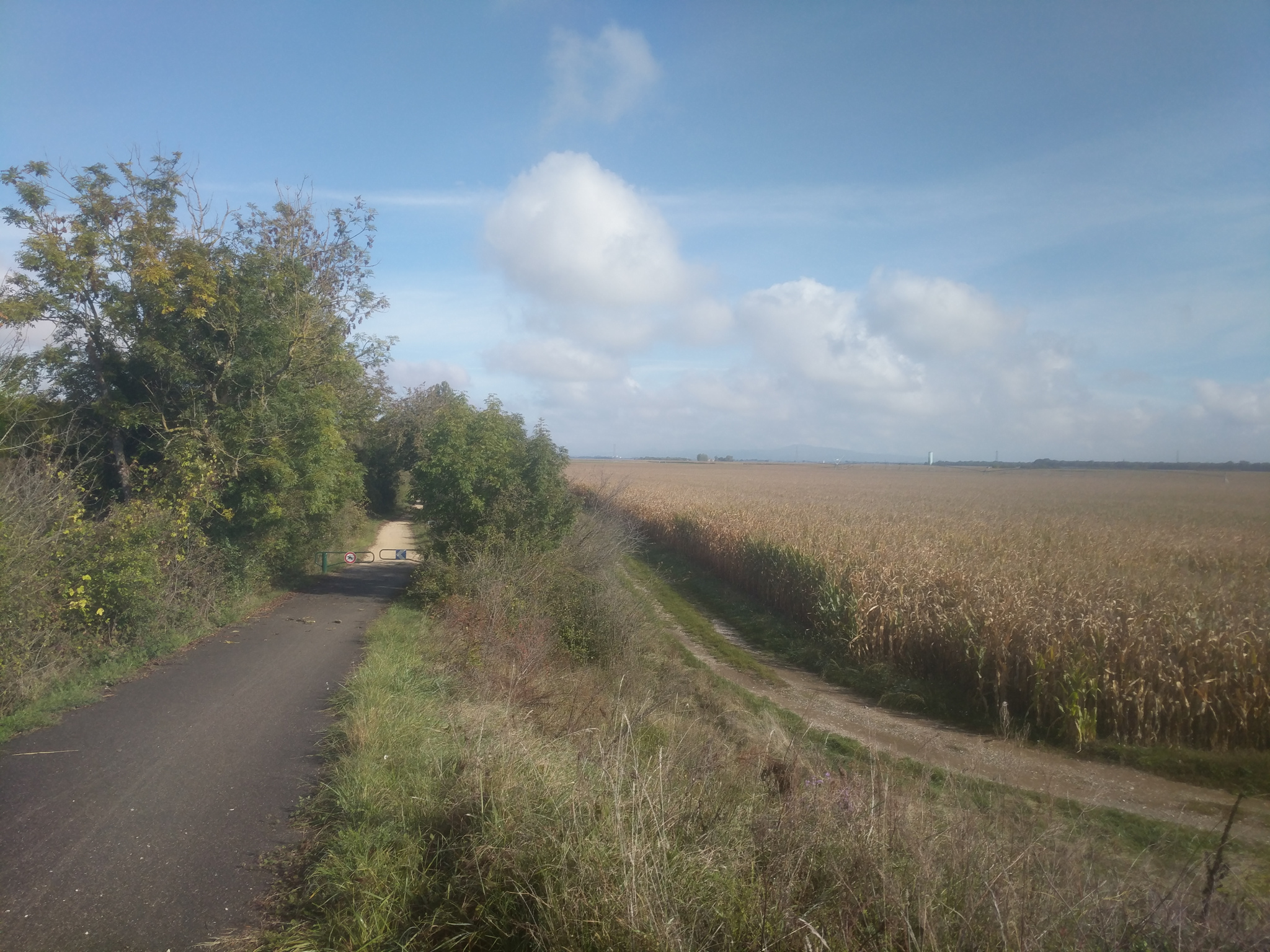 Alpenrundfahrt-2021/Breisgau-Cote-d-Azu