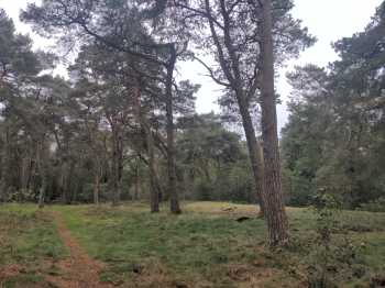 Radreise Nordsee - Tag 1 Venlo - Malle