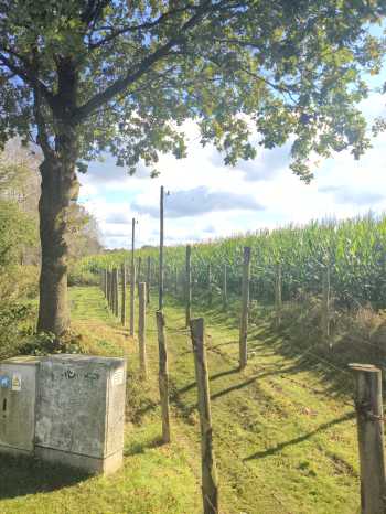 Radreise Nordsee - Tag 2 Baarle Nassau Hertog Nelgisch Nederland Hrenzwirrwarr