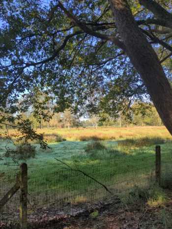 Radreise Nordsee - Tag 3 Malle (West) - Playa