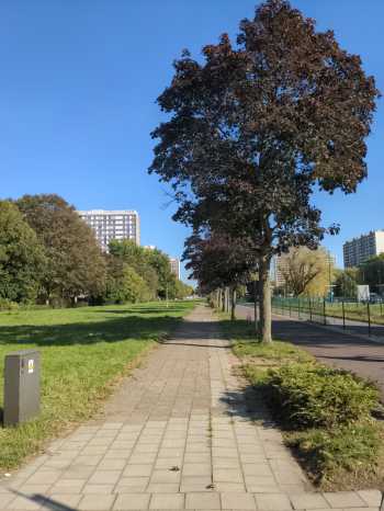 Radreise Nordsee - Tag 4 Malle -Antwerpen- Terneuzen - Seeland/NL Scheide