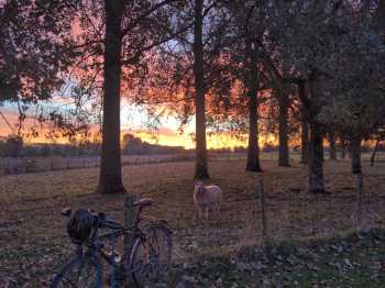 Radreise Nordsee - Tag 5 Terneuzen - Zeeland/NL Scheide - Middelburg - Hellevoetsluis 