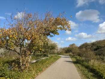 Radreise Nordsee - Tag 6 Zuid-Holland 