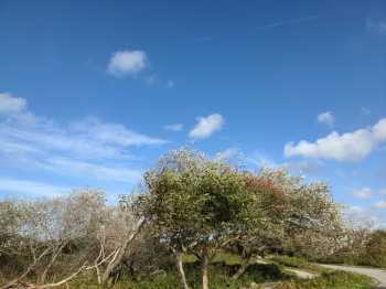 Radreise Nordsee - Tag 6 Zuid-Holland 