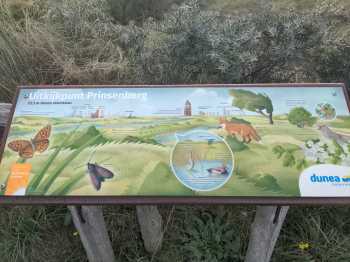 Radreise Nordsee - Tag 6 Zuid-Holland 