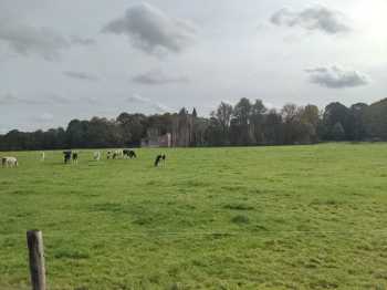 Radreise Nordsee - Tag 7 Noord-Holland 