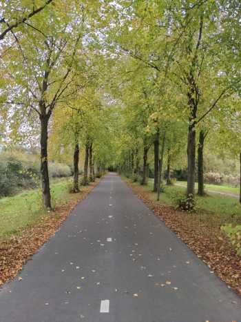 Radreise Nordsee - Tag 11 - Friesland - Leeuwarden -Groningen Delfzijl Emsmündung 