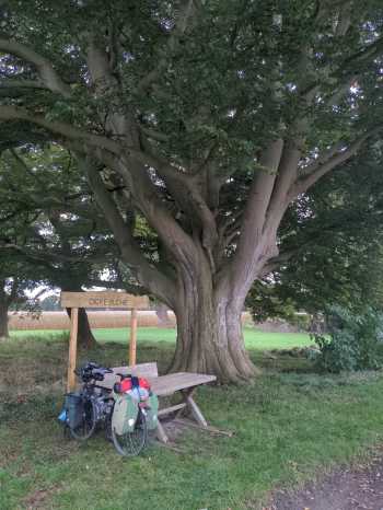 Radreise Nordsee - Tag 14 Koenigssee- Fedderwaddersiel Bremerhaven Wattenmeer Containerwschiffe Fischerboote
