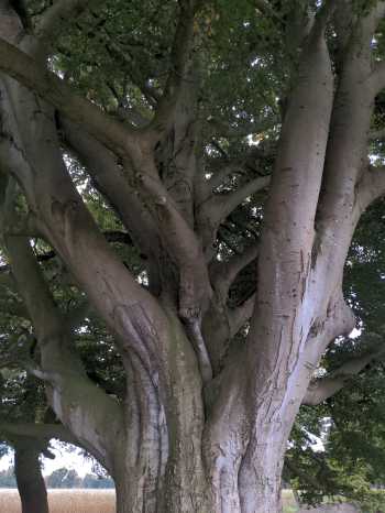 Radreise Nordsee - Tag 14 Koenigssee- Fedderwaddersiel Bremerhaven Wattenmeer Containerwschiffe Fischerboote