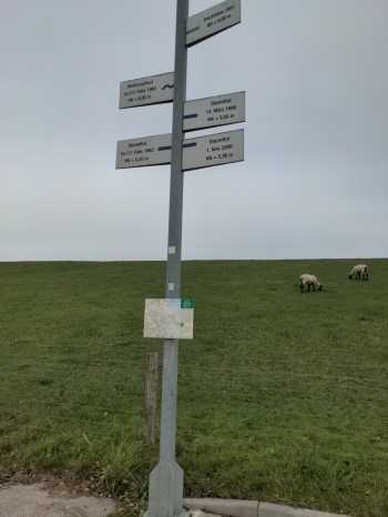 Radreise Nordsee - Tag 14 Koenigssee- Fedderwaddersiel Bremerhaven Wattenmeer Containerwschiffe Fischerboote