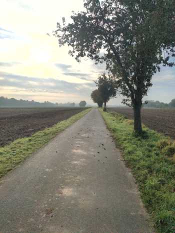 Radreise Nordsee -Tag 17 Hameln Einbeck von der Weser an die Leine 