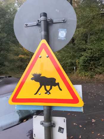 Radreise Nordsee -Tag 19 - Einbeck Hannover HBF leine Heide Radweg  