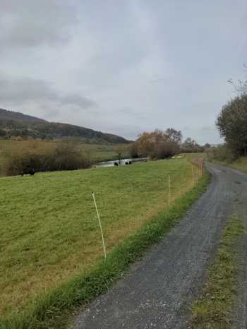Radreise Nordsee -Tag 19 - Einbeck Hannover HBF leine Heide Radweg  