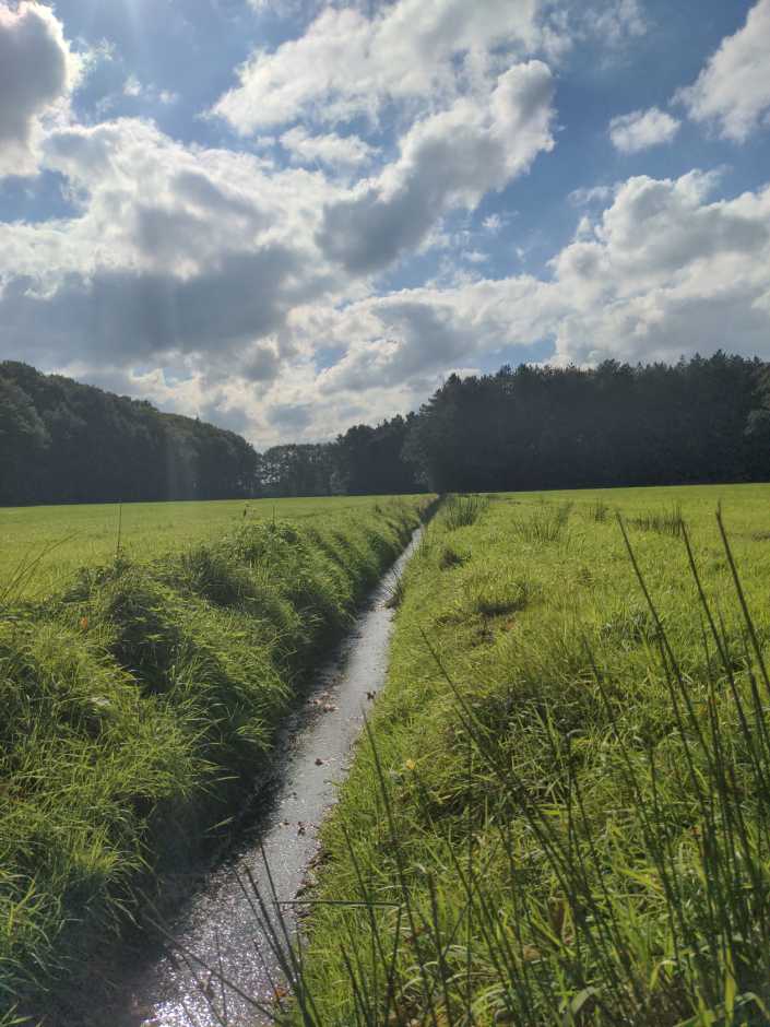 Radreise Nordsee -Tag 3  Malle Playa Wald und Wiesen 