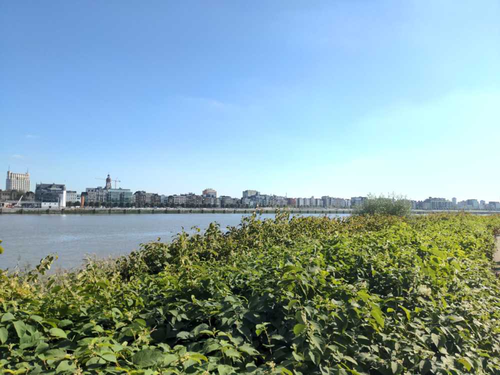 Radreise Nordsee -Tag 4 Antwerpen Terneuzen 