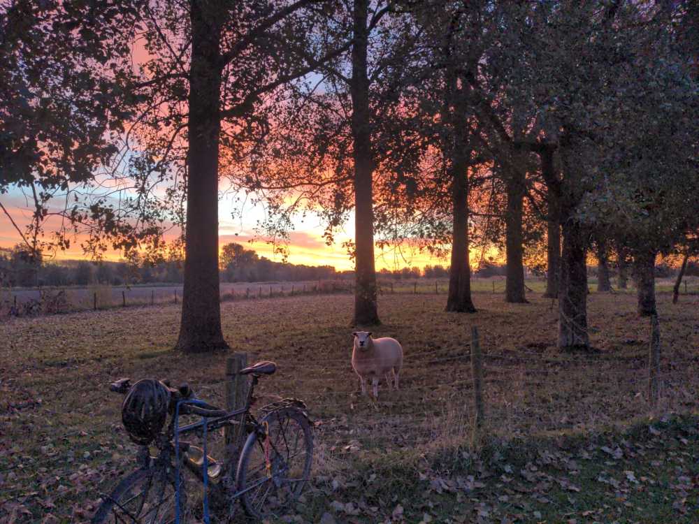 Radreise Nordsee -Tag 5 Zeeland terneuzen Middelburg Hellevoetsluis 