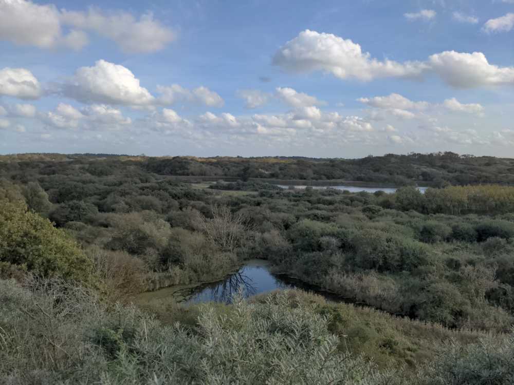 Radreise Nordsee -Tag 6 Zuid-Holland, Maassluis, Hoek van Holland ; Rhein Maas Mündung, Den Haag, Dünen, Strand, Nordsee, 