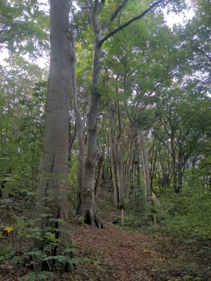 Radreise Nordsee -Tag 7 Noord-Holland  - Noordwijk Velsen Beverwijk Aalkmaar  