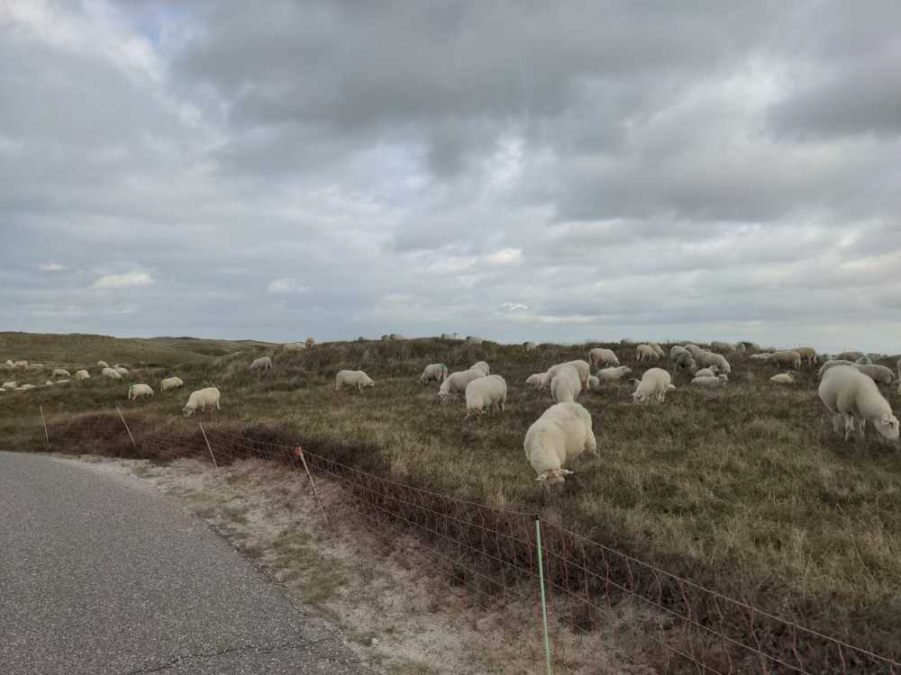 Radreise Nordsee -Tag 7 Noord-Holland  - Den Helder, Tex, Wattenmeer, Anna Paulowna, Deiche, Jurte, Holzofen, Sturm, Regen  