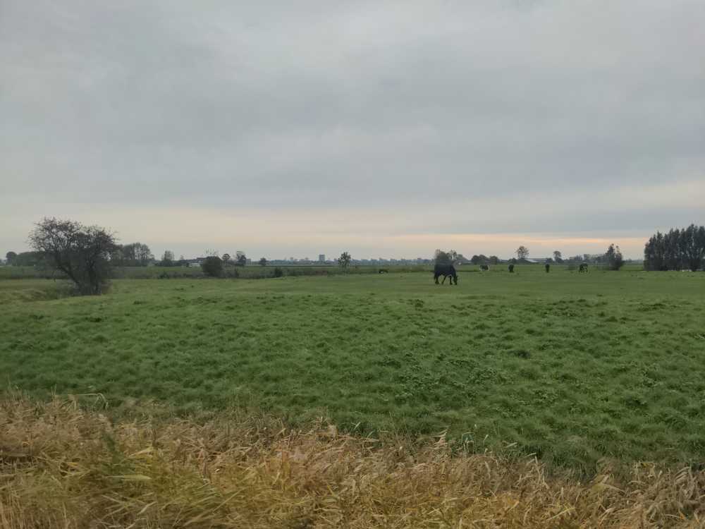 Radreise Nordsee -Leeuwarden -Groningen Delfzijl, Emsdelta   