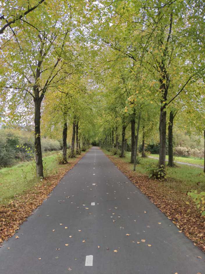 Radreise Nordsee -Leeuwarden -Groningen Delfzijl, Emsdelta   