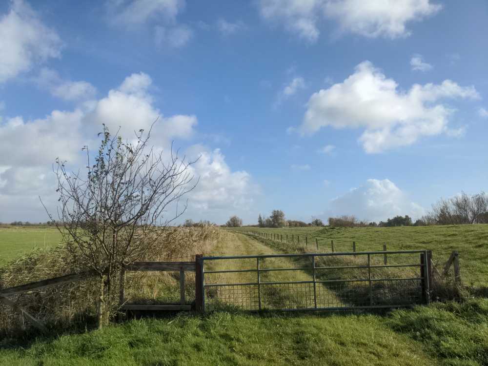 Radreise Nordsee -Delfzijl, Emsdelta, Ems, Deich, Leer, Jimme, Ssturm, Schauer  
