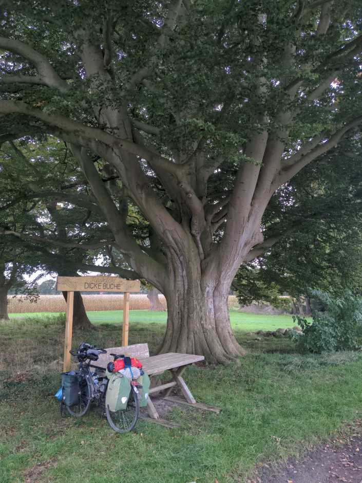 Radreise Nordsee -Fedderwaddersiel, Bremerhafen, Wattenmeer Containerwschiffe Fischerboote , Wesermündung, Fischerhavn, Ebbe, Flut, Fischerdorf, Zelten mit Meerblick 