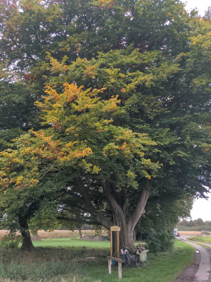 Radreise Nordsee -Fedderwaddersiel, Bremerhafen, Wattenmeer Containerwschiffe Fischerboote , Wesermündung, Fischerhavn, Ebbe, Flut, Fischerdorf, Zelten mit Meerblick 