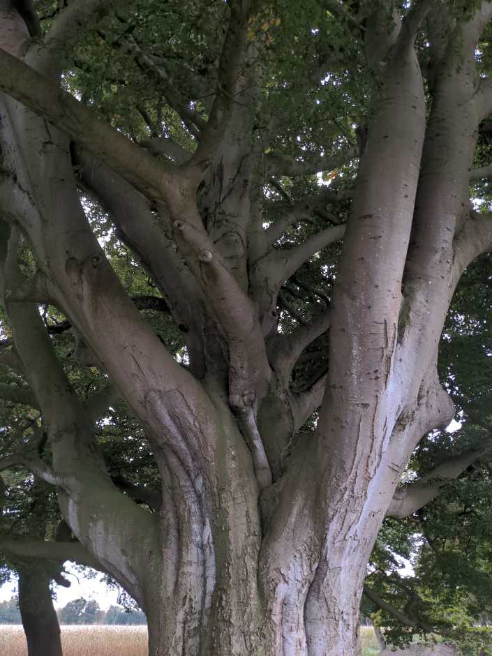 Radreise Nordsee -Fedderwaddersiel, Bremerhafen, Wattenmeer Containerwschiffe Fischerboote , Wesermündung, Fischerhavn, Ebbe, Flut, Fischerdorf, Zelten mit Meerblick 