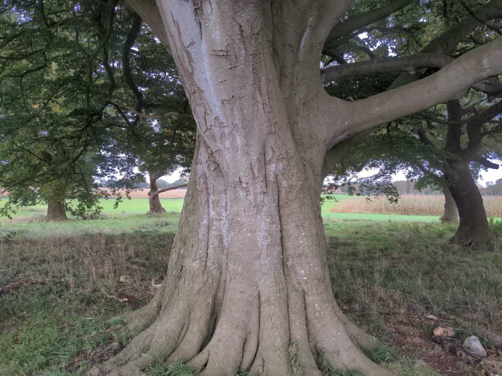 Radreise Nordsee -Fedderwaddersiel, Bremerhafen, Wattenmeer Containerwschiffe Fischerboote , Wesermündung, Fischerhavn, Ebbe, Flut, Fischerdorf, Zelten mit Meerblick 
