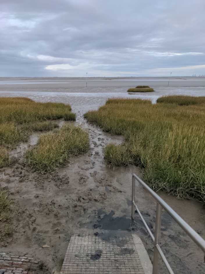 Radreise Nordsee -Fedderwaddersiel, Bremerhafen, Wattenmeer Containerwschiffe Fischerboote , Wesermündung, Fischerhavn, Ebbe, Flut, Fischerdorf, Zelten mit Meerblick 