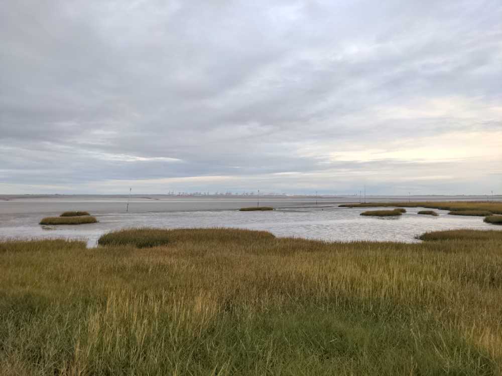 Radreise Nordsee -Fedderwaddersiel, Bremerhafen, Wattenmeer Containerwschiffe Fischerboote , Wesermündung, Fischerhavn, Ebbe, Flut, Fischerdorf, Zelten mit Meerblick 