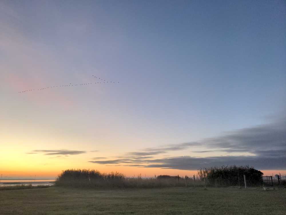 Radreise Nordsee -Fedderwaddersiel, Bremerhafen, Wattenmeer Containerwschiffe Fischerboote , Wesermündung, Fischerhavn, Ebbe, Flut, Fischerdorf, Zelten mit Meerblick 