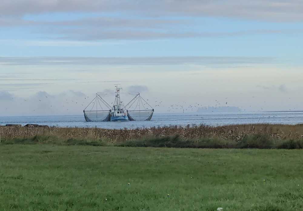 Radreise Nordsee -Fedderwaddersiel, Bremerhafen, Wattenmeer Containerwschiffe Fischerboote , Wesermündung, Fischerhavn, Ebbe, Flut, Fischerdorf, Zelten mit Meerblick 