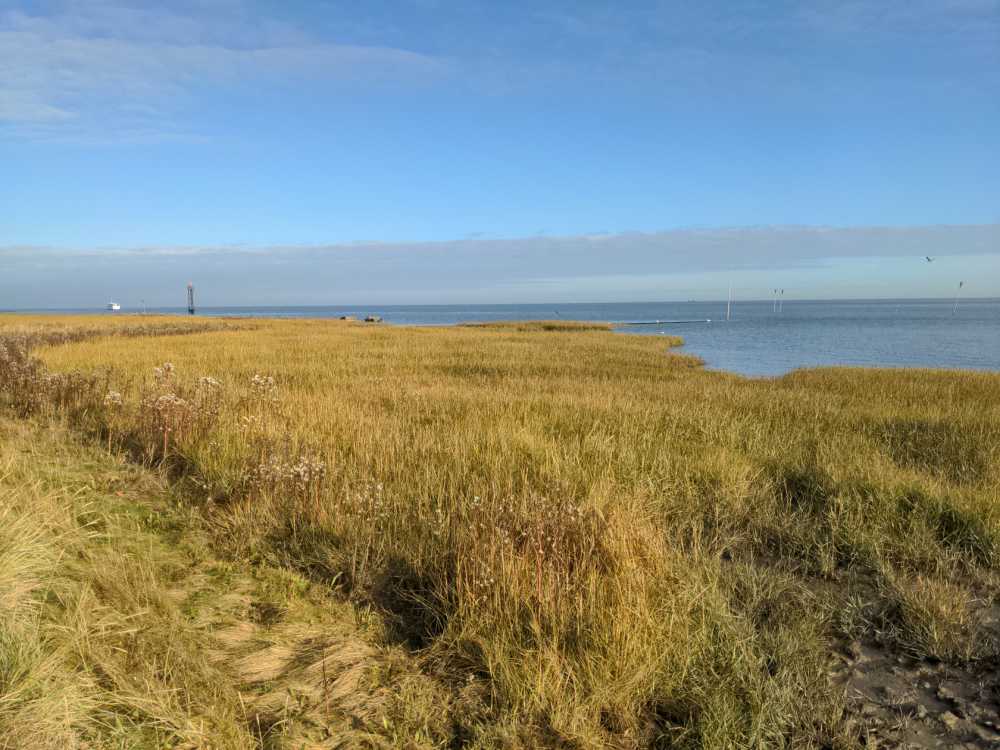 Radreise Nordsee -Fedderwaddersiel, Bremerhafen, Wattenmeer Containerwschiffe Fischerboote , Wesermündung, Fischerhavn, Ebbe, Flut, Fischerdorf, Zelten mit Meerblick 