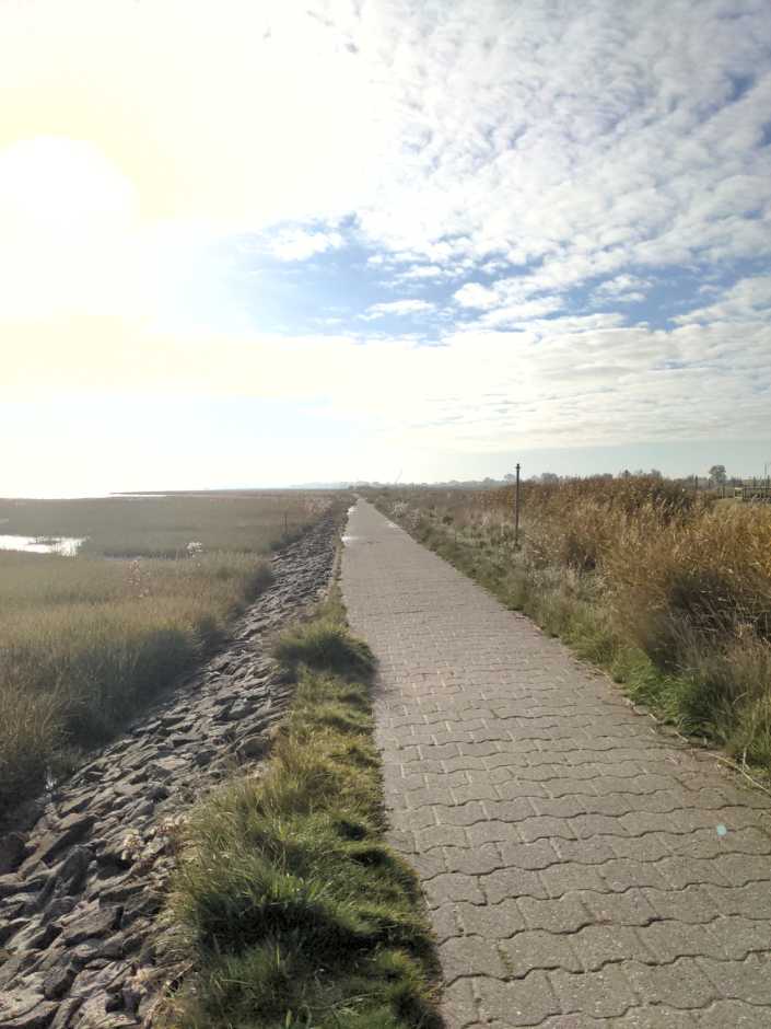 Radreise Nordsee -Fedderwaddersiel, Bremerhafen, Wattenmeer Containerwschiffe Fischerboote , Wesermündung, Fischerhavn, Ebbe, Flut, Fischerdorf, Zelten mit Meerblick, Weser, Bremen 