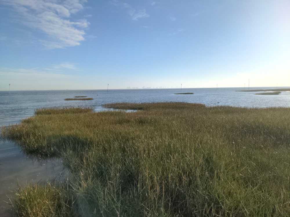 Radreise Nordsee -Fedderwaddersiel, Bremerhafen, Wattenmeer Containerwschiffe Fischerboote , Wesermündung, Fischerhavn, Ebbe, Flut, Fischerdorf, Zelten mit Meerblick 