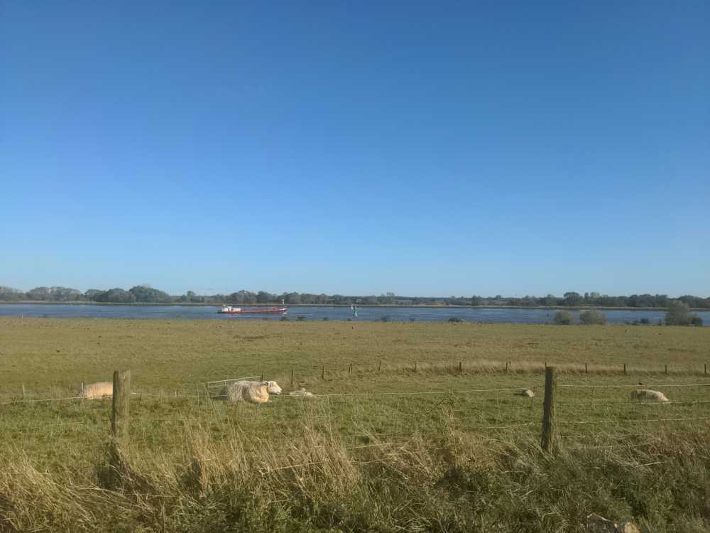Radreise Nordsee -Fedderwaddersiel, Bremerhafen, Wattenmeer Containerwschiffe Fischerboote , Wesermündung, Fischerhavn, Ebbe, Flut, Fischerdorf, Zelten mit Meerblick 