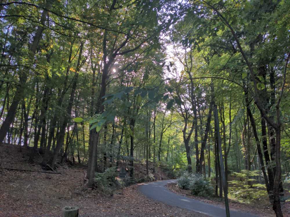 Weser - Horstedt Stolzenau erste Hügel tauchen auf