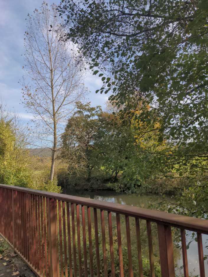 Weser -Hameln - Weserbergland Herbst, bunt, Einbeck, Leine