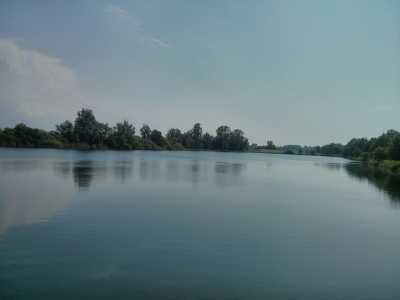 Am Rhein entlang