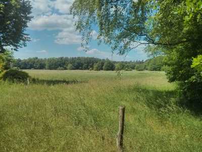 Heide 