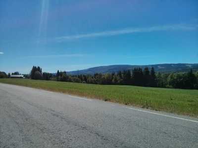 am Wegesrand